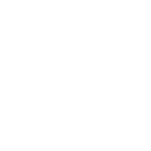 Icoon document met procentteken voor fiscale expertise
